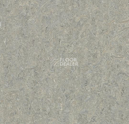 Линолеум Forbo Marmoleum Marbled Terra 5802-580235 alpine mist фото 1 | FLOORDEALER